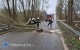 11 zdarze� zwi�zanych z&nbsp;silnym wiatrem. Stra�acy w&nbsp;akcji