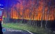 Tragedia podczas gaszenia po�aru. Rozbi� si� samolot ga�niczy