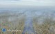 Sp�on�y bezcenne tereny przyrodnicze. Ogie� obj�� torfowiska i&nbsp;tereny Natura 2000
